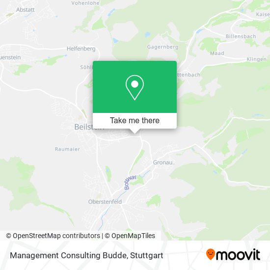 Management Consulting Budde map