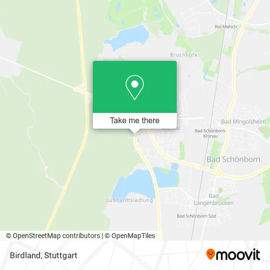 Карта Birdland