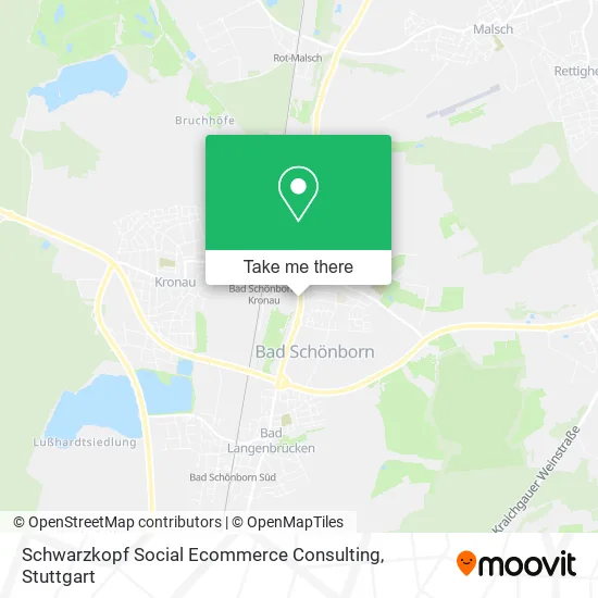 Карта Schwarzkopf Social Ecommerce Consulting
