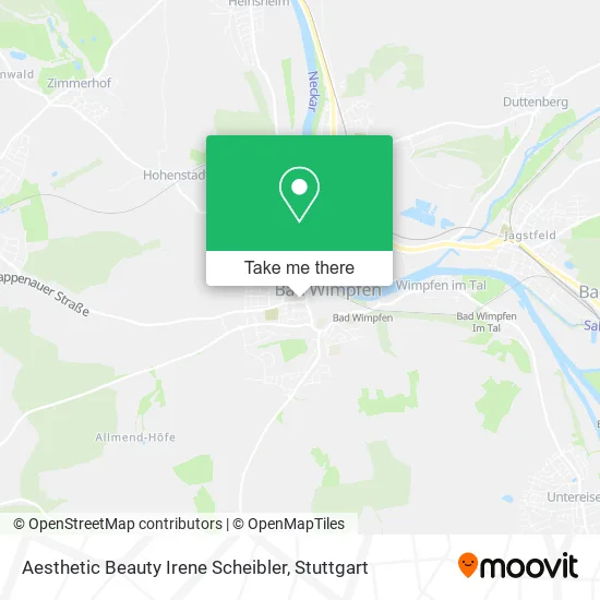 Карта Aesthetic Beauty Irene Scheibler