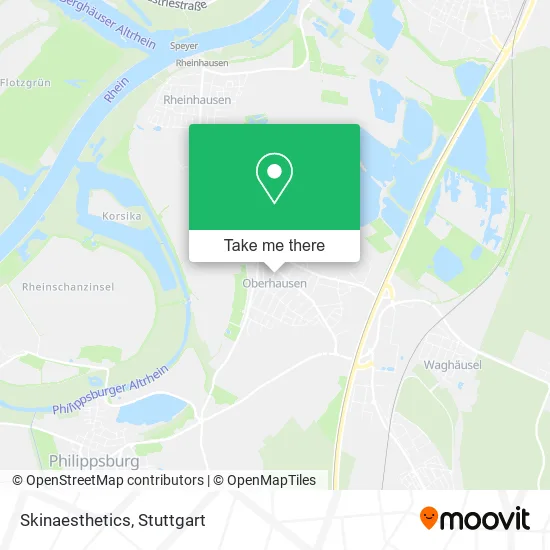 Карта Skinaesthetics