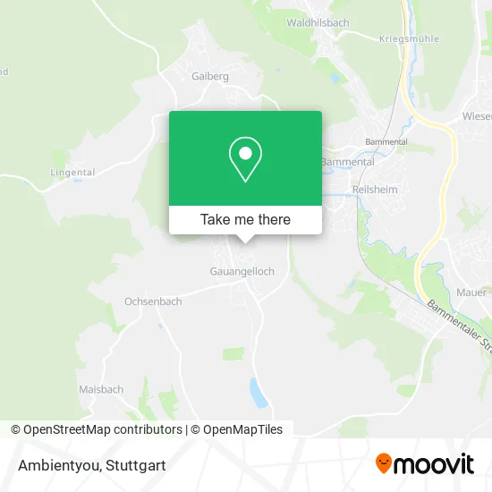 Карта Ambientyou