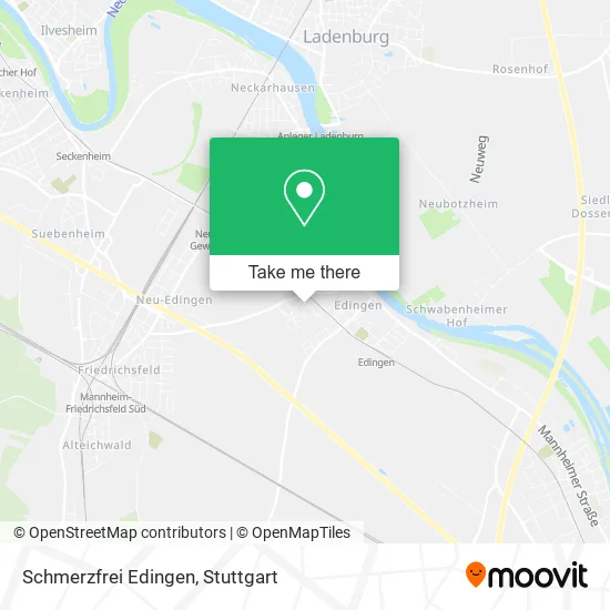 Карта Schmerzfrei Edingen