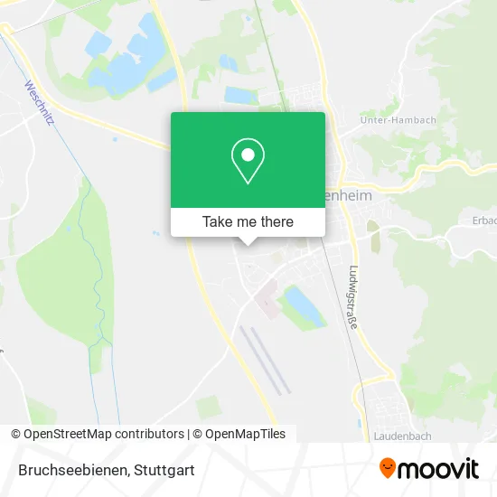 Карта Bruchseebienen