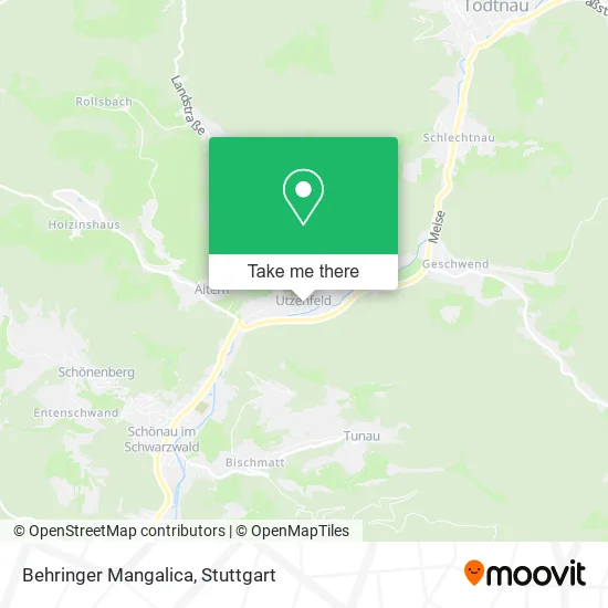 Карта Behringer Mangalica