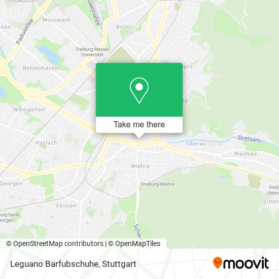 Leguano Barfubschuhe map