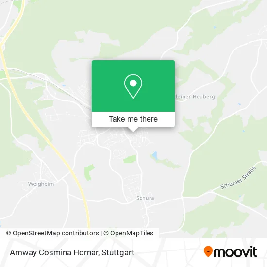 Карта Amway Cosmina Hornar