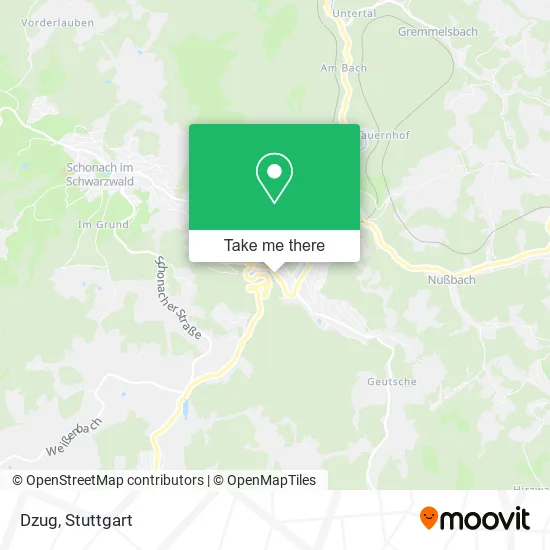 Карта Dzug