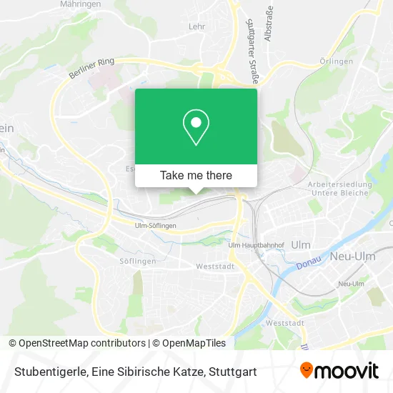 Карта Stubentigerle, Eine Sibirische Katze
