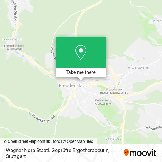 Карта Wagner Nora Staatl. Geprüfte Ergotherapeutin