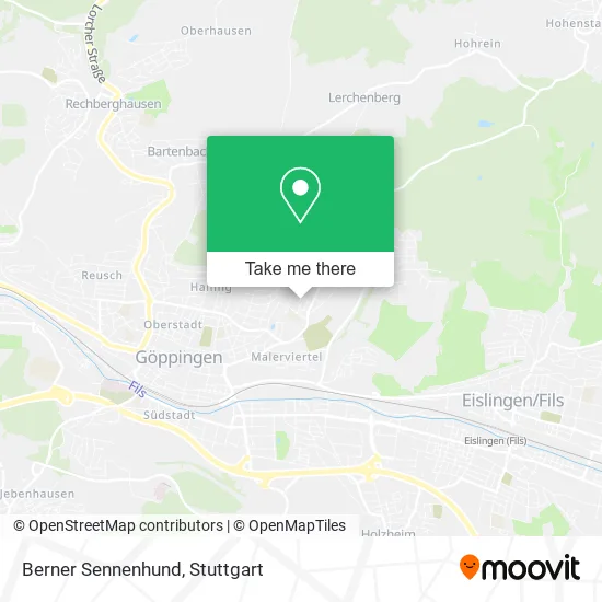 Карта Berner Sennenhund