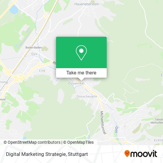 Карта Digital Marketing Strategie