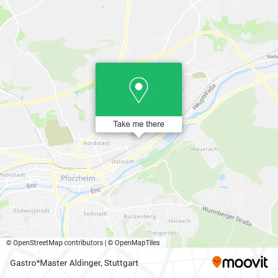 Карта Gastro*Master Aldinger