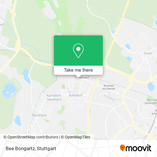 Карта Bee Bongartz