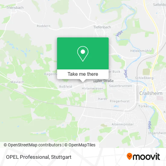 Карта OPEL Professional