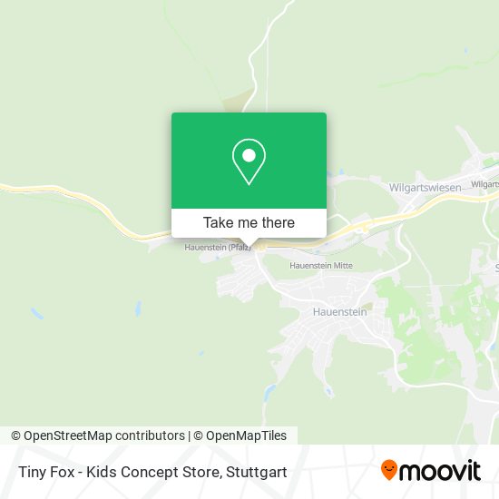 Tiny Fox - Kids Concept Store map