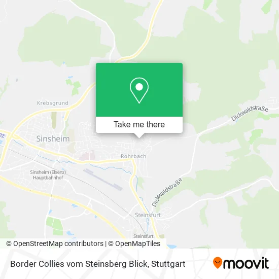 Карта Border Collies vom Steinsberg Blick