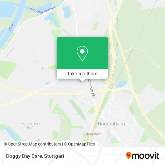 Карта Doggy Day Care