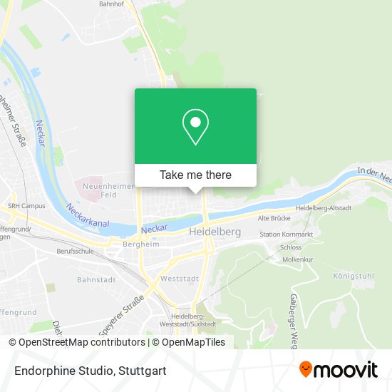 Карта Endorphine Studio
