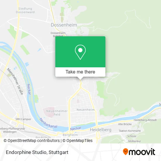 Карта Endorphine Studio