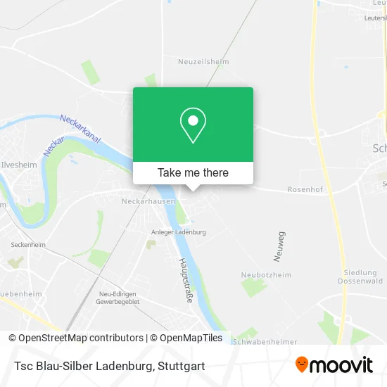 Карта Tsc Blau-Silber Ladenburg