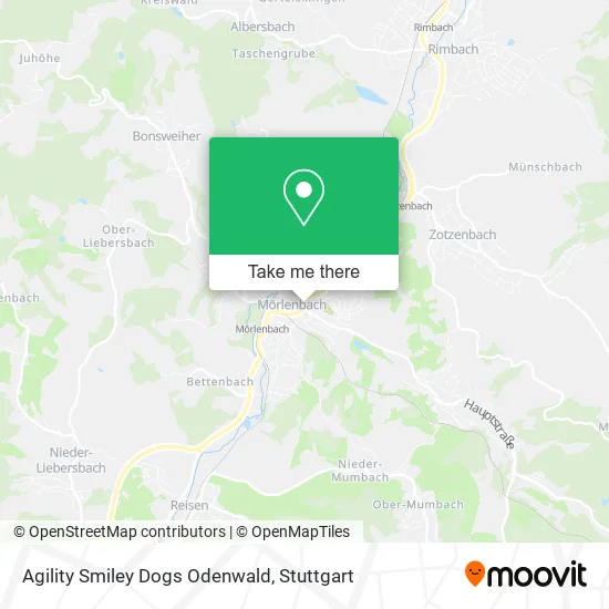 Карта Agility Smiley Dogs Odenwald