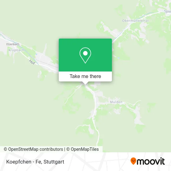 Koepfchen - Fe map