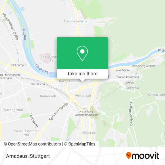 Карта Amadeus