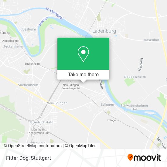 Карта Fitter Dog
