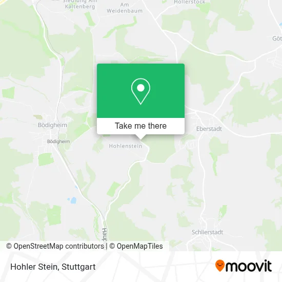 Hohler Stein map