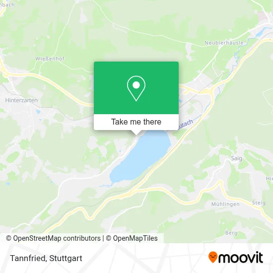 Tannfried map