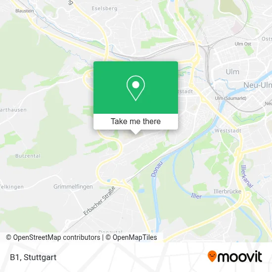 B1 map