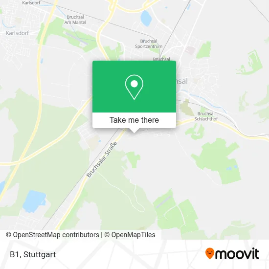 B1 map