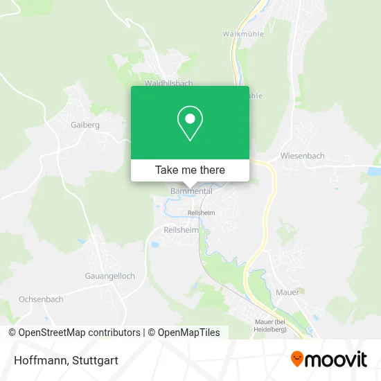 Hoffmann map