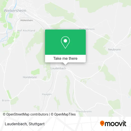 Laudenbach map