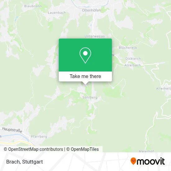 Brach map