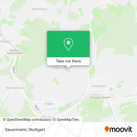 Sauermann map