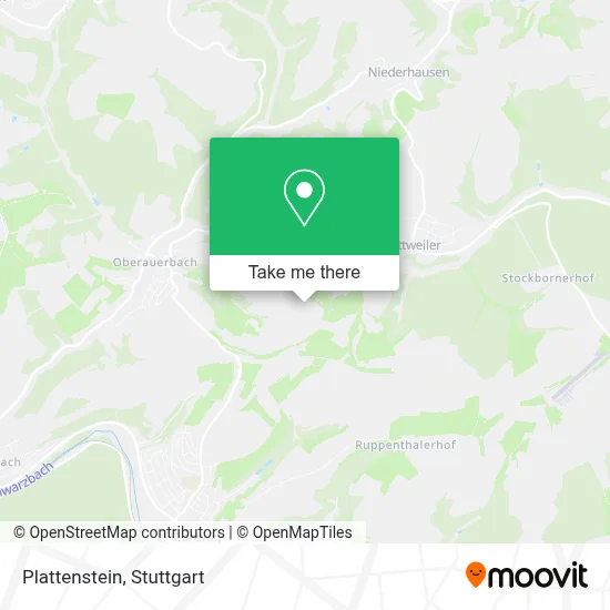 Plattenstein map