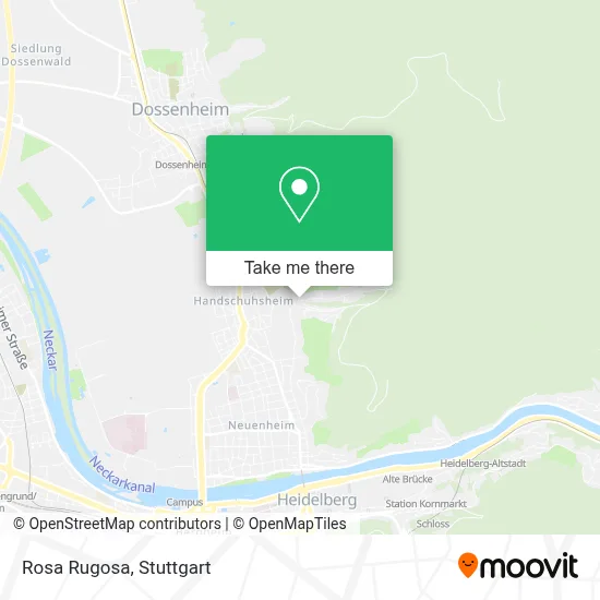 Rosa Rugosa map