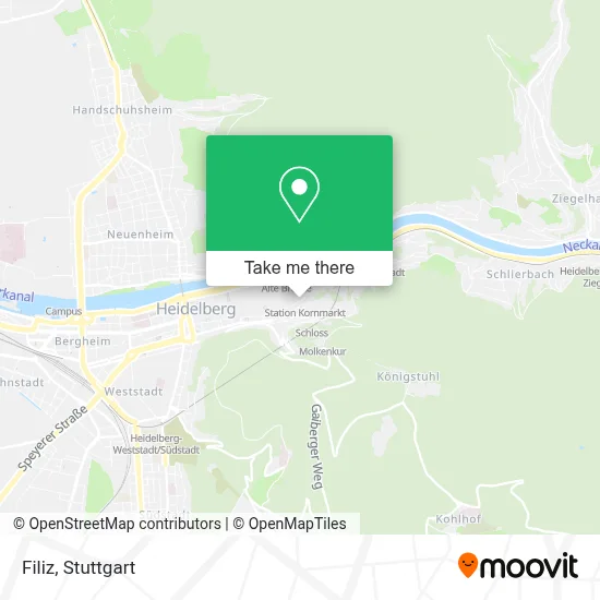 Filiz map