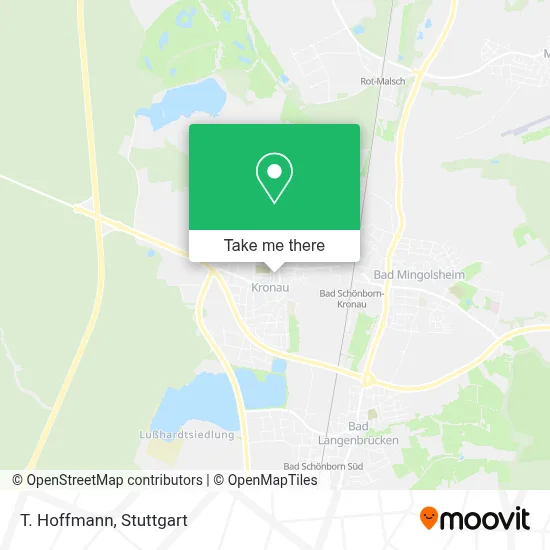 T. Hoffmann map