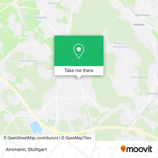 Ammann map