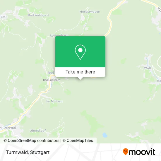 Turmwald map
