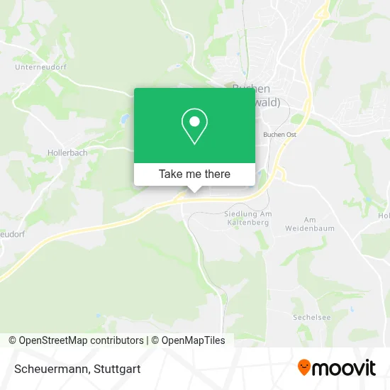 Scheuermann map