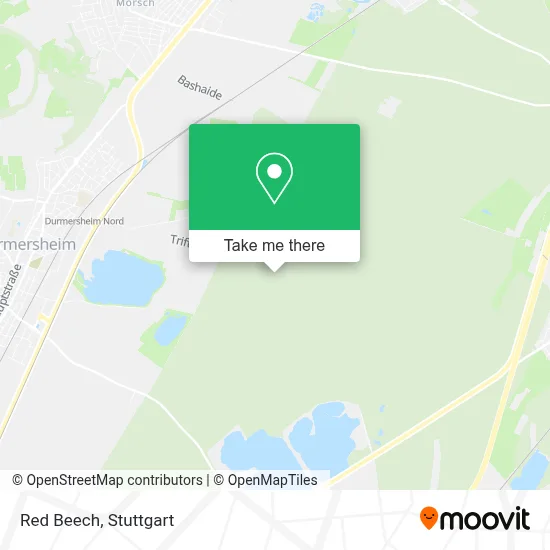 Rotbuche map