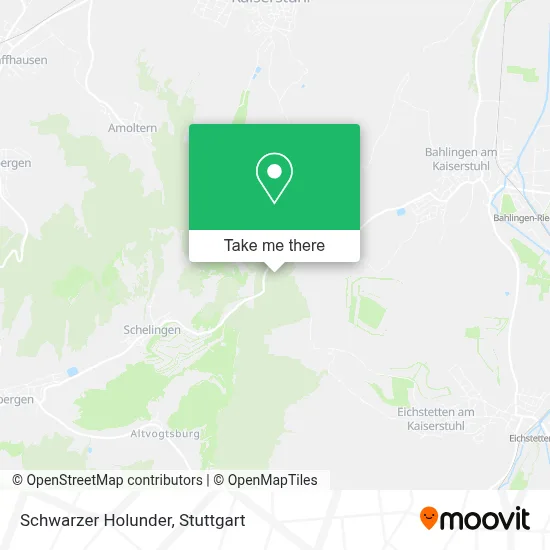 Schwarzer Holunder map