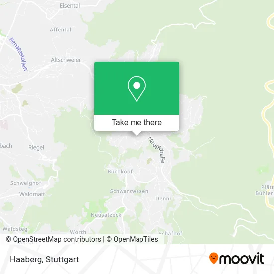 Haaberg map