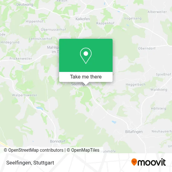 Seelfingen map