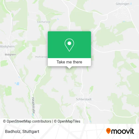 Badholz map