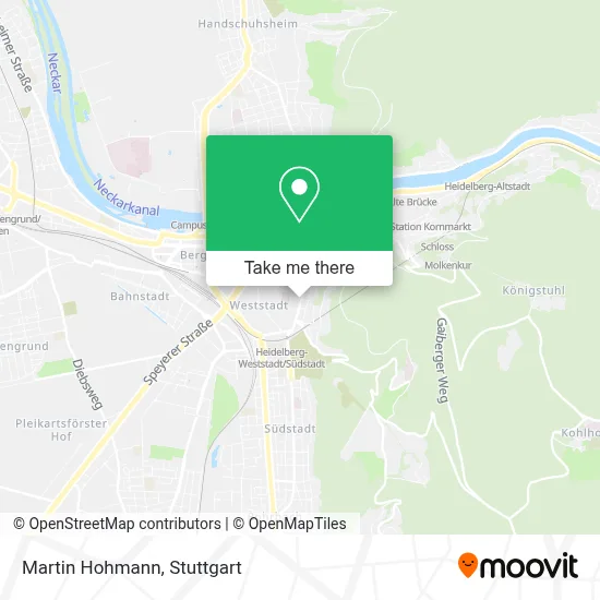 Martin Hohmann map